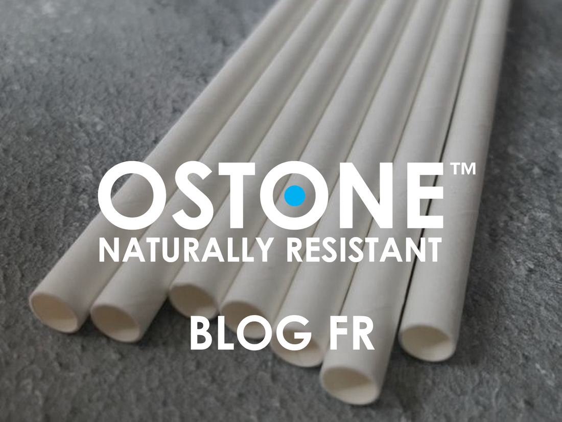 Les pailles en papier OSTONE peuvent résoudre 10 problèmes ?