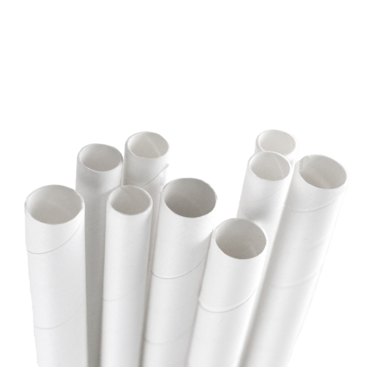 PAILLES EN PAPIER MINERALES - SAS OSTONE™