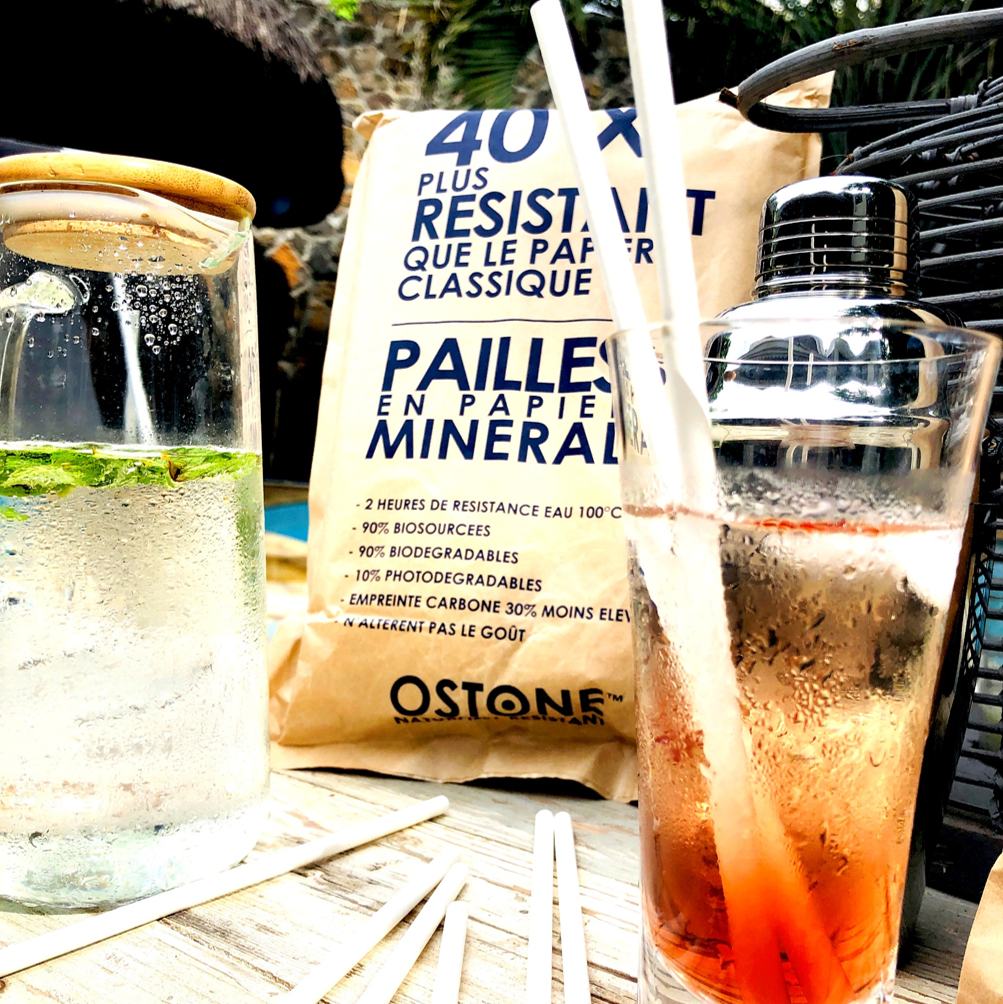 PAILLES EN PAPIER MINERALES - SAS OSTONE™