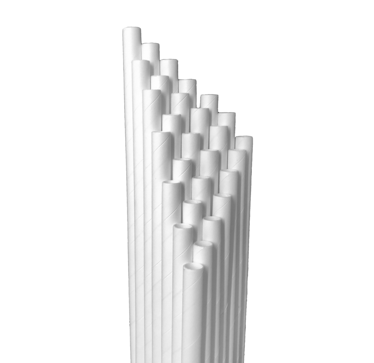 3500 PAILLES EN FIBRES 6mm - SAS OSTONE™